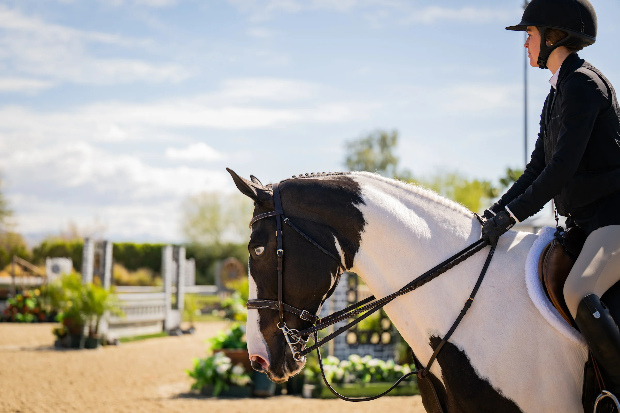 Elite Equestrian Gear for Less